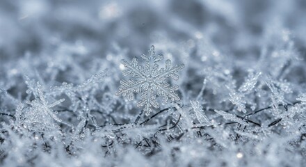 Macro shot captures a delicate snowflake with six arms, surrounded by intricate icy formations on a blurry surface