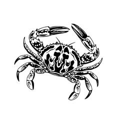 detailed crustacean art