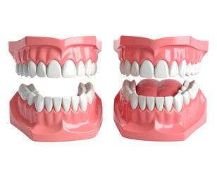 Obraz premium A 3D rendering of a full set of upper and lower dentures, showcasing a complete prosthetic solution.