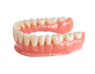 Obraz premium A 3D model of a lower dental arch, illustrating a healthy set of teeth and gums.