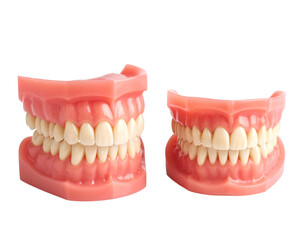 Fototapeta premium A 3D rendering of a pair of upper and lower dentures, showcasing the detailed structure of artificial teeth and gums.