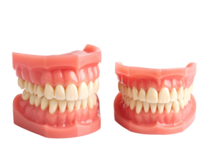 A 3D rendering of a pair of upper and lower dentures, showcasing the detailed structure of artificial teeth and gums.