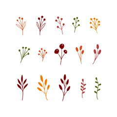 Hand drawn botanical autumn clipart set