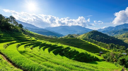Fototapeta premium Lush Green Terraced Rice Fields Under Bright Sky in Mountainous Landscape