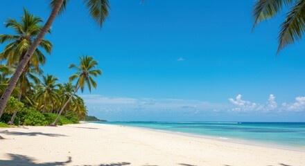 Tropical beach white sand, turquoise water, and palm trees reaching for the clear blue sky on a sunny day