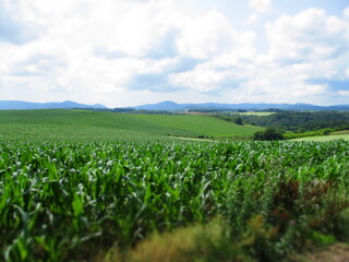 Biei, Hokkaido, Japan - Diorama Effect