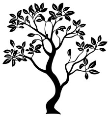 Fototapeta premium Fangipani tree silhuoette drawing