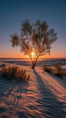 Solitary tree silhouetted against a vibrant sunset over a sandy landscape