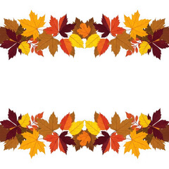 Fototapeta premium Autumn Maple Leaf Borders isolated on a transparent background fall leaves