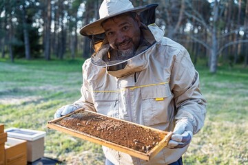 A beekeeper in protective gear inspects a honeycomb frame filled with honey and bees, evaluating...