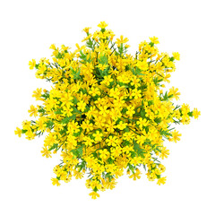 Obraz premium Vibrant Yellow Flower Arrangement: Aerial View of a Lush, Blooming Creeper Plant with Small, Sunny Yellow Flowers.