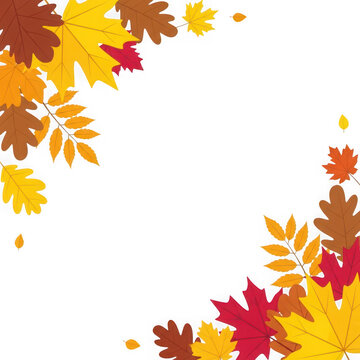Scattered autumn leaves in red, yellow, and brown forming a corner border fall foliage isolated on a transparent background