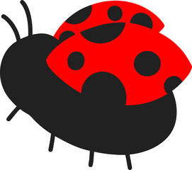 Fototapeta premium 무당벌레