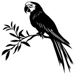 Parrot bird silhouette drawing