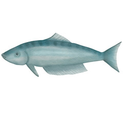 Watercolor Blue Fish Illustration Isolated