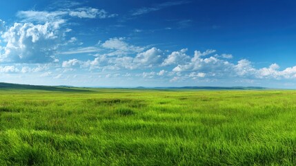 Vibrant Meadow Under a Expansive Blue Sky: A breathtaking landscape painting capturing the vast expanse of a sun-drenched grassy meadow, caressed by a gentle breeze.