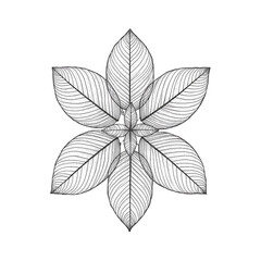 A stylized floral arrangement featuring detailed, symmetrical leaves radiating from a central point in a black and white illustration.