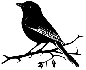 Robin bird silhouette drawing
