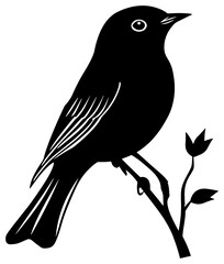 Robin bird silhouette drawing
