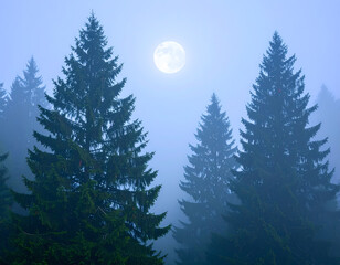 Foggy forest landscape with moon serene nature background wallpaper
