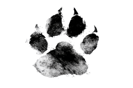Abstract black and white paw print