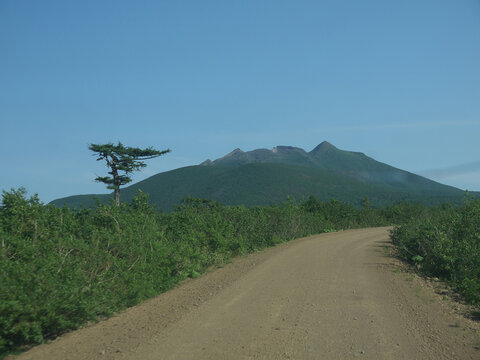 Road to Baransky volcano with iturup island green landscape and Kuril larch on roadside