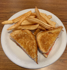 Grilled turkey sandwich and fries.