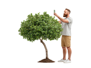 Capturing Nature's Beauty: A man photographs a young, vibrant tree with his smartphone, his full attention on the green, healthy leaves, showcasing a moment of appreciation for nature
