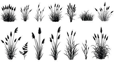 a collection of various cattail and grass silhouettes on a white background © Tm Studio