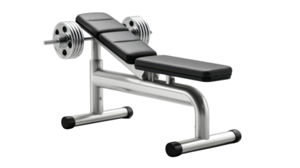 Gym Bench: A pristine metal gym bench stands ready for a workout, reflecting the clean lines and functional design of fitness equipment. It's an invitation to achieve fitness.