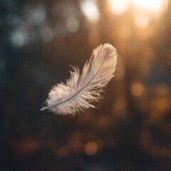 A single, light feather floats in golden sunlight, against a blurred forest backdrop