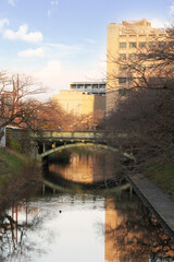 Obraz premium Riverside view with bridge and building. A tranquil river with a bridge, bare trees, and a large building reflecting on the water's surface under a blue sky.