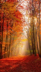 Fototapeta premium Enchanting Autumn Forest with Sunbeams and Red Leaves