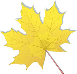 Hand-drawn gold autumn maple leaf isolated on white background. Flat and line style vector illustration.
