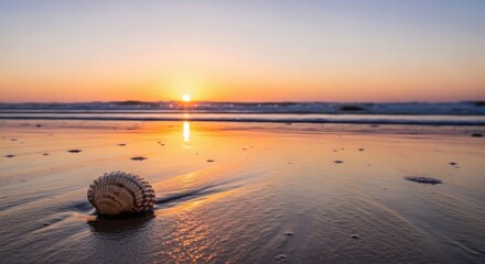 A lone seashell rests on a wet sandy beach as the sun sets over the ocean waves.