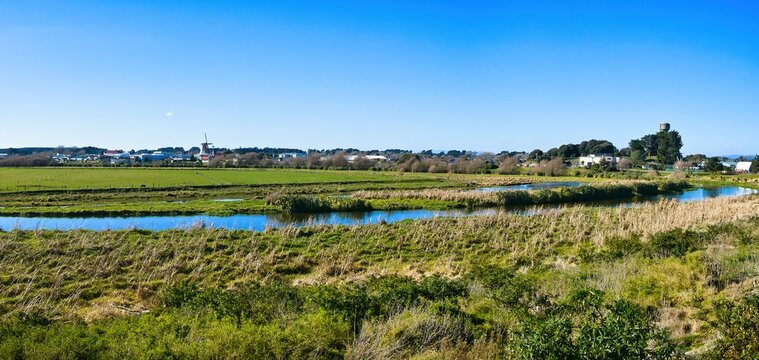 Foxton New Zealand River Loop Wetlands