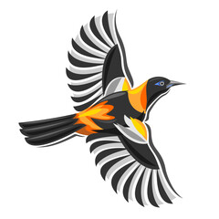 Venezuelan troupial bird