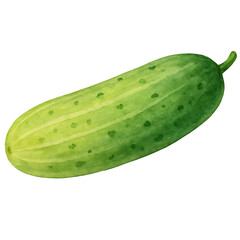 Cucumbers