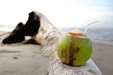 Coconut on the beach background turquoise sea and blue sky
