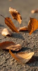 Dry Autumn Leaves Scattered on Sandy Ground