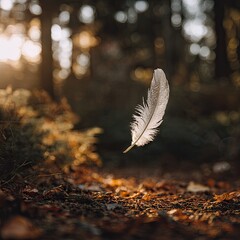 A single white feather floats gently above autumn leaves in a sunlit forest