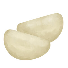 Garlic Cloves Illustration