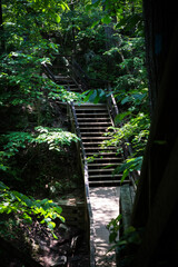 Stairway to the Wonderland