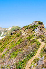 谷川岳　山頂　オキノ耳　北側