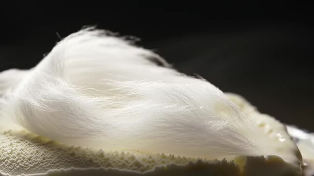 Fluffy white candy floss over ice cream