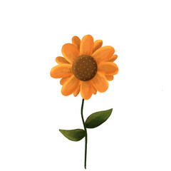 Vector sunglower orange flower isolated on white background, illustration