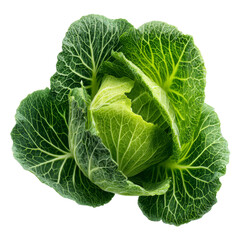 Obraz premium Fresh green cabbage with vibrant leaves and intricate textures, showcasing its natural beauty and crispness. Perfect for salads, cooking, or garnishing dishes