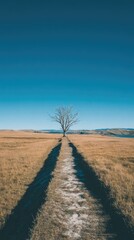 Naklejka premium Lone tree in a vast field, path leading to it