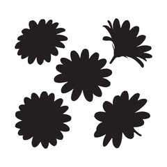 A collection hand painted African daisy flowers silhouette vector design. 