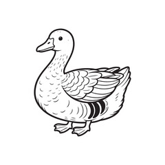  Beautiful black and white illustration of a sweet domestic goose silhouette vector design. 